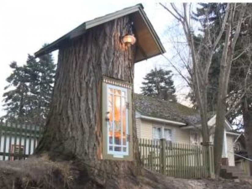 The 110-year-old tree created the most original and sweetest library ever
